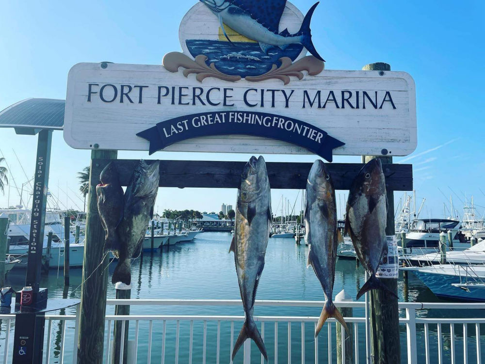 Fish at Fort Pierce City marina smokin fish fishing charter